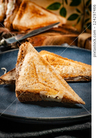 Grilled cheese sandwich. Grilled cheese sandwich. 124297466
