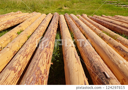 Peeling logs for building houses 124297815