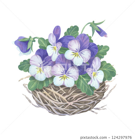 Watercolor purple pansies in a bird's nest. Spring time hand-painted illustration of viola flowers on a white background Watercolor purple pansies in a bird's nest. Spring time hand-painted illustration of viola flowers on a white background 124297976