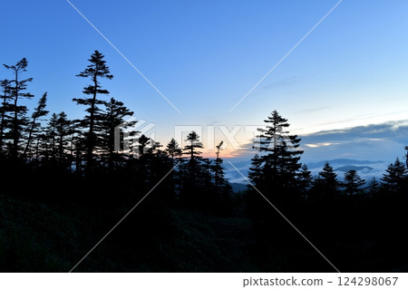 盂蘭盆節前的盛夏，志賀高原橫手山頂附近的冷杉林中旭日冉冉升起。 124298067
