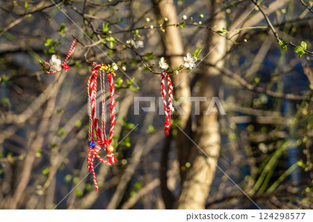 Martenitsa bracelets hanging on flowering tree branch under sunlight. Bulgarian spring tradition symbolizing health, luck, prosperity 124298577
