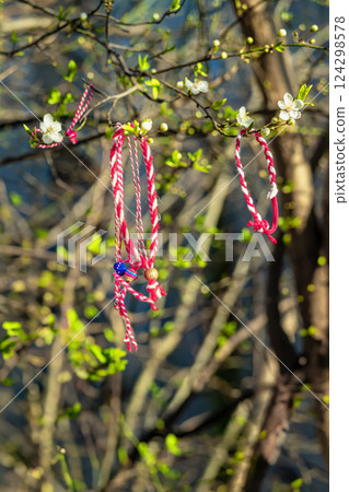 Red and white Martenitsa bracelets hanging on blooming tree branch in early spring sunlight. Traditional Bulgarian symbol of health, luck, arrival of spring 124298578