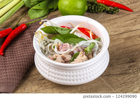 Vietnamese Pho Bo soup with beef 124299090