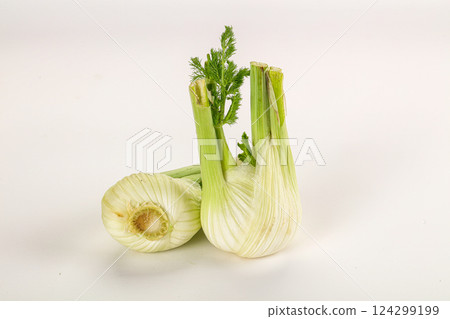 Ripe raw fresh Fennel root Ripe raw fresh Fennel root 124299199