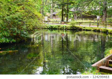 Fish and Forest Observation Garden (Nikko City, Tochigi Prefecture) 124299463