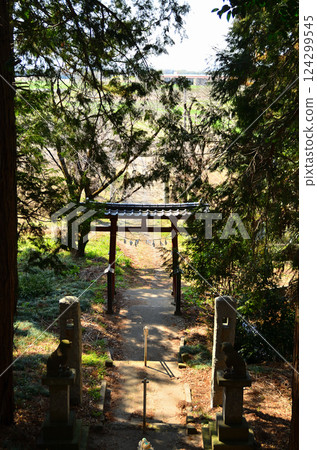 Hikawa Shrine in Takibamuro, Konosu City, Saitama Prefecture 124299545