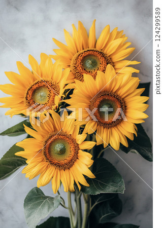 Sunflowers and white wall background AI image 124299589