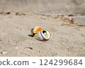 Marine trash 619 124299684
