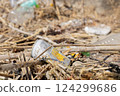 Marine trash 617 124299686