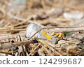 Marine trash 616 124299687