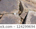 Marine trash 609 124299694