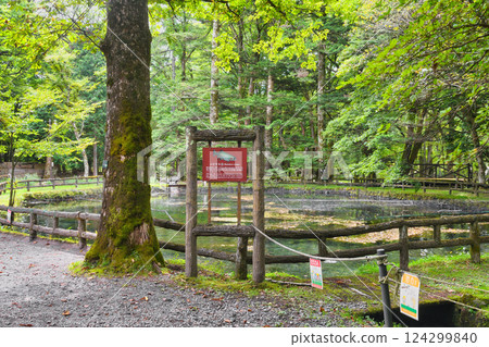 Fish and Forest Observation Garden (Nikko City, Tochigi Prefecture) 124299840