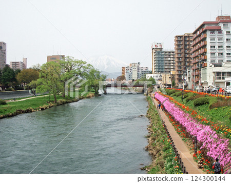 Kaiun Bridge flowerbed on the Kitakami River in Morioka City, Iwate Prefecture, and Mt. Iwate Kaiun Bridge flowerbed on the Kitakami River in Morioka City, Iwate Prefecture, and Mt. Iwate 124300144