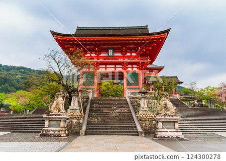 春天京都清水寺二王門 124300278