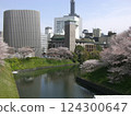 Cherry blossoms blooming, buildings reflected in the moat in front of the Imperial Palace 124300647