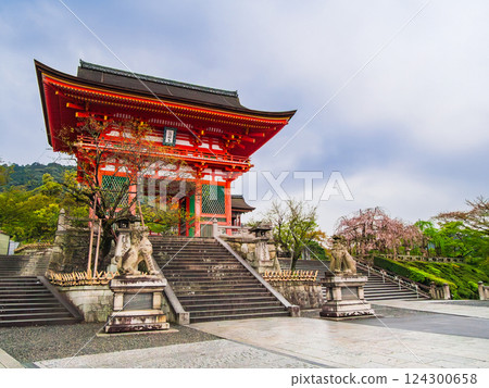 春天京都清水寺二王門 124300658