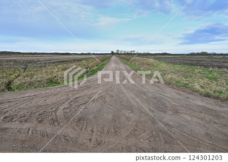 Multiple Bicycle tire tracks in a sandy road Multiple Bicycle tire tracks in a sandy road 124301203