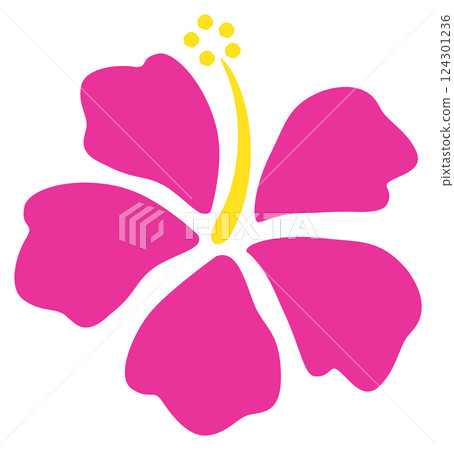 Pink hibiscus Pink hibiscus 124301236