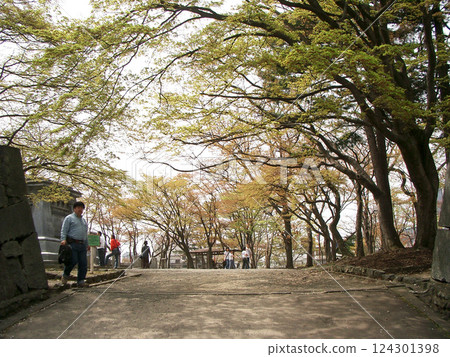 The Honmaru Gate at Morioka Castle Ruins Park (Morioka City, Iwate Prefecture) 124301398