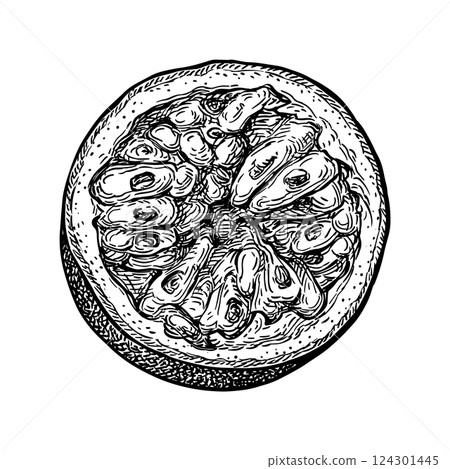 Passionfruit ink sketch 124301445