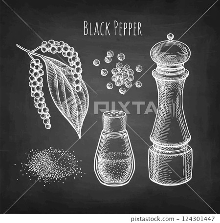 Set of chalk sketches of black pepper 124301447