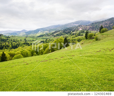 countryside mountain landscape in spring. green environment. cloudy weather. field and forest on the hill. rolling rural scenery. scenic view 124301469