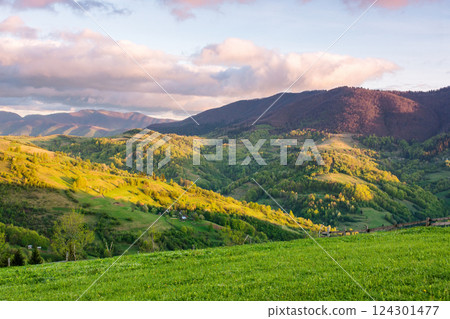 mountain landscape in spring. scenic view of rural valley. countryside scenery with rolling hills. sky with clouds in evening light. natural environment with grassy field mountain landscape in spring. scenic view of rural valley. countryside scenery with rolling hills. sky with clouds in evening light. natural environment with grassy field 124301477