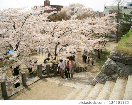 從盛岡城公園本城到吹上馬場的石階（岩手縣盛岡市） 124301523