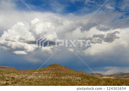 Landscape Sonora Desert Arizona Landscape Sonora Desert Arizona 124301654