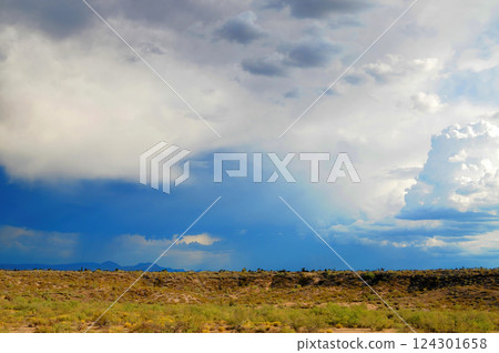 Landscape Sonora Desert Arizona 124301658