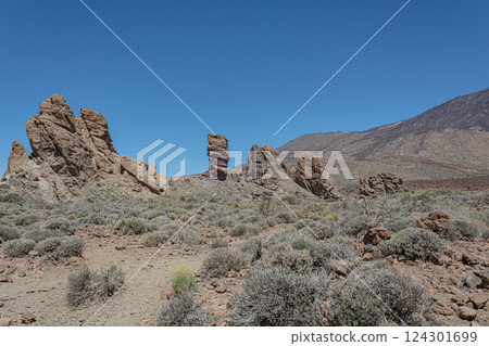 Mountain landscape. Teide finger near the Teide volcano (Tenerife, Spain) 124301699