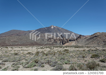 Mountain landscape. Surroundings near the Teide volcano (Tenerife, Spain) 124301700