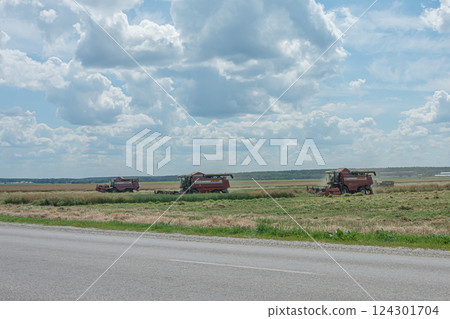 Gomel, Belarus - 07/12/2018: combine harvester in the field harvests grain Gomel, Belarus - 07/12/2018: combine harvester in the field harvests grain 124301704