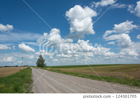 Landscape. Country road among endless fields Landscape. Country road among endless fields 124301705