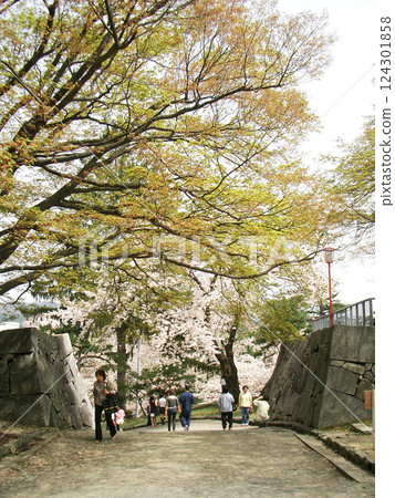盛岡城跡公園本丸門(岩手縣盛岡市) 盛岡城跡公園本丸門(岩手縣盛岡市) 124301858