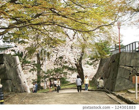 盛岡城跡公園本丸門（岩手縣盛岡市） 124301883