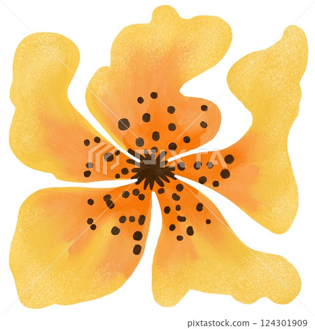 Hand drawn illustration of bright colorful tropical hibiscus yellow orange tiger lily flower. Big bold stylized image of floral design, bloom blossom in modern style on white background. 124301909