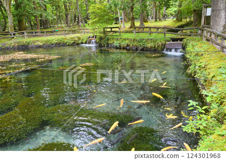 Fish and Forest Observation Garden (Nikko City, Tochigi Prefecture) 124301968
