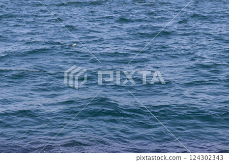 藍色的海隨風搖曳 - 水面泛起漣漪 - 藍色的海隨風搖曳 - 水面泛起漣漪 - 124302343