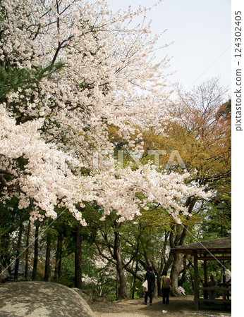盛岡城跡公園三之丸內的秀水亭(岩手縣盛岡市) 盛岡城跡公園三之丸內的秀水亭(岩手縣盛岡市) 124302405