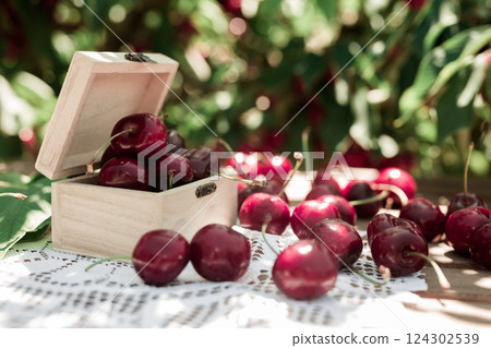 Still life of cherries in wooden box on table in garden 124302539