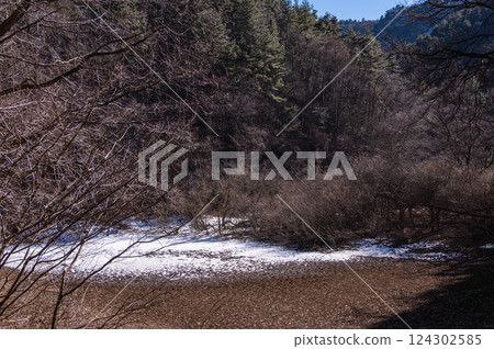 山上自然公園：乾涸的池塘 124302585