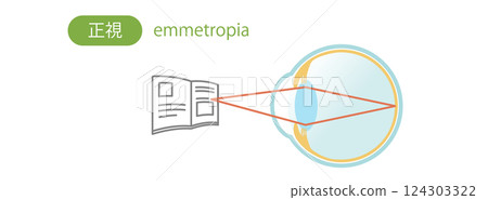 Illustration of the structure of the eye for seeing near objects Illustration of the structure of the eye for seeing near objects 124303322