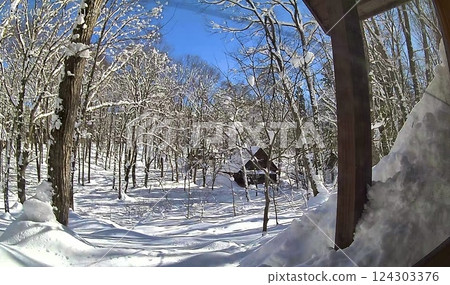 Winter scenery in a villa area: Log houses in Shinanomachi, Kamiminochi District, Nagano Prefecture 124303376