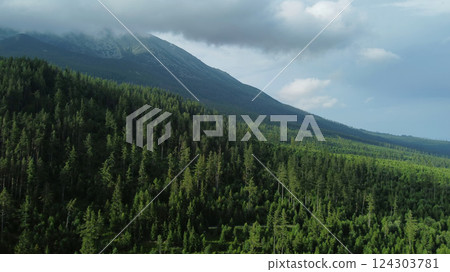 High Tatras mountains forest aerial view 124303781