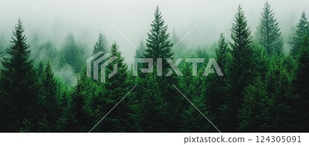 Ethereal Beauty of a Misty Forest Aerial Wilderness Photography Ethereal Beauty of a Misty Forest Aerial Wilderness Photography 124305091