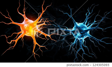 Neuroscience Concepts in Interconnected Nerve Cells Abstract Digital Art Neuroscience Concepts in Interconnected Nerve Cells Abstract Digital Art 124305093