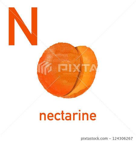 Watercolor English alphabet made of cute fruits and vegetables. Watercolor illustration of food. Vegetarian alphabet. Back to school. Nectarine 124306267