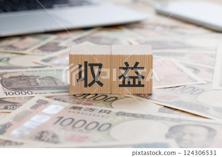 一塊寫有「收入」字樣的方塊 一塊寫有「收入」字樣的方塊 124306531