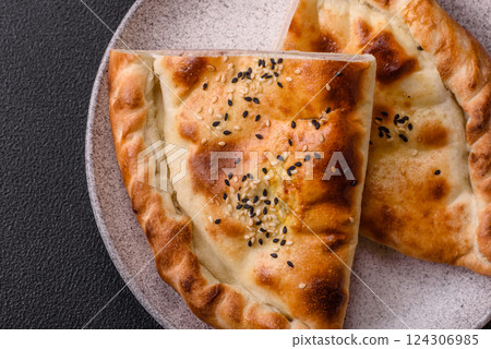 Cheburek meat pastry pie with herbs on the concrete background Cheburek meat pastry pie with herbs on the concrete background 124306985